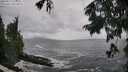 ./images/koeye/fitz-hugh/20250816/fitz-hugh20250816_134011M.jpg
