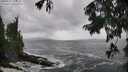 ./images/koeye/fitz-hugh/20250816/fitz-hugh20250816_135011M.jpg