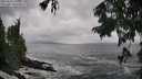 ./images/koeye/fitz-hugh/20250816/fitz-hugh20250816_140012M.jpg