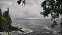 ./images/koeye/fitz-hugh/20250816/fitz-hugh20250816_140509M.jpg