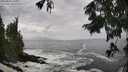 ./images/koeye/fitz-hugh/20250816/fitz-hugh20250816_144510M.jpg