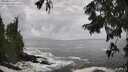 ./images/koeye/fitz-hugh/20250816/fitz-hugh20250816_145510M.jpg