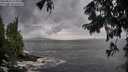 ./images/koeye/fitz-hugh/20250816/fitz-hugh20250816_155009M.jpg