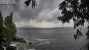 ./images/koeye/fitz-hugh/20250816/fitz-hugh20250816_160012M.jpg