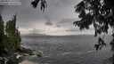 ./images/koeye/fitz-hugh/20250816/fitz-hugh20250816_161511M.jpg