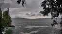 ./images/koeye/fitz-hugh/20250816/fitz-hugh20250816_180012M.jpg