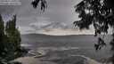 ./images/koeye/fitz-hugh/20250816/fitz-hugh20250816_181010M.jpg