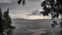 ./images/koeye/fitz-hugh/20250816/fitz-hugh20250816_183011M.jpg
