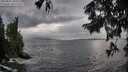 ./images/koeye/fitz-hugh/20250816/fitz-hugh20250816_185509M.jpg