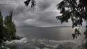 ./images/koeye/fitz-hugh/20250816/fitz-hugh20250816_190009M.jpg