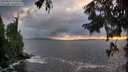 ./images/koeye/fitz-hugh/20250816/fitz-hugh20250816_202507M.jpg