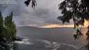./images/koeye/fitz-hugh/20250816/fitz-hugh20250816_204009M.jpg