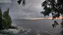 ./images/koeye/fitz-hugh/20250816/fitz-hugh20250816_205007M.jpg