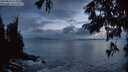 ./images/koeye/fitz-hugh/20250816/fitz-hugh20250816_212508M.jpg