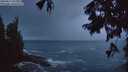 ./images/koeye/fitz-hugh/20250817/fitz-hugh20250817_055509M.jpg
