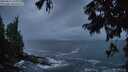 ./images/koeye/fitz-hugh/20250817/fitz-hugh20250817_060011M.jpg