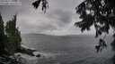 ./images/koeye/fitz-hugh/20250817/fitz-hugh20250817_070510M.jpg