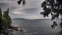 ./images/koeye/fitz-hugh/20250817/fitz-hugh20250817_071509M.jpg