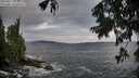 ./images/koeye/fitz-hugh/20250817/fitz-hugh20250817_072010M.jpg