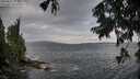 ./images/koeye/fitz-hugh/20250817/fitz-hugh20250817_072510M.jpg
