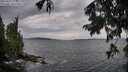 ./images/koeye/fitz-hugh/20250817/fitz-hugh20250817_074010M.jpg