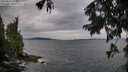 ./images/koeye/fitz-hugh/20250817/fitz-hugh20250817_075008M.jpg