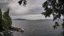 ./images/koeye/fitz-hugh/20250817/fitz-hugh20250817_075509M.jpg