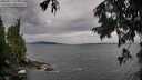 ./images/koeye/fitz-hugh/20250817/fitz-hugh20250817_080012M.jpg