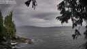 ./images/koeye/fitz-hugh/20250817/fitz-hugh20250817_082509M.jpg