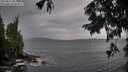 ./images/koeye/fitz-hugh/20250817/fitz-hugh20250817_083012M.jpg