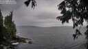 ./images/koeye/fitz-hugh/20250817/fitz-hugh20250817_083510M.jpg