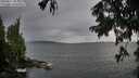 ./images/koeye/fitz-hugh/20250817/fitz-hugh20250817_084510M.jpg