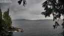 ./images/koeye/fitz-hugh/20250817/fitz-hugh20250817_085010M.jpg
