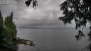 ./images/koeye/fitz-hugh/20250817/fitz-hugh20250817_092508M.jpg