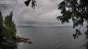 ./images/koeye/fitz-hugh/20250817/fitz-hugh20250817_093510M.jpg