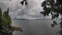 ./images/koeye/fitz-hugh/20250817/fitz-hugh20250817_100511M.jpg