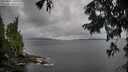 ./images/koeye/fitz-hugh/20250817/fitz-hugh20250817_101511M.jpg
