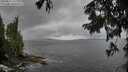 ./images/koeye/fitz-hugh/20250817/fitz-hugh20250817_102011M.jpg