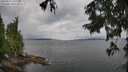./images/koeye/fitz-hugh/20250817/fitz-hugh20250817_105509M.jpg