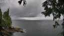 ./images/koeye/fitz-hugh/20250817/fitz-hugh20250817_114011M.jpg