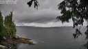 ./images/koeye/fitz-hugh/20250817/fitz-hugh20250817_115509M.jpg
