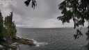 ./images/koeye/fitz-hugh/20250817/fitz-hugh20250817_125010M.jpg