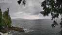 ./images/koeye/fitz-hugh/20250817/fitz-hugh20250817_132509M.jpg