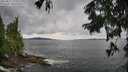 ./images/koeye/fitz-hugh/20250817/fitz-hugh20250817_133510M.jpg