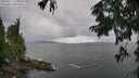 ./images/koeye/fitz-hugh/20250817/fitz-hugh20250817_143508M.jpg