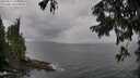 ./images/koeye/fitz-hugh/20250817/fitz-hugh20250817_144511M.jpg