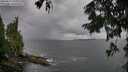 ./images/koeye/fitz-hugh/20250817/fitz-hugh20250817_152510M.jpg