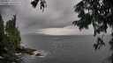 ./images/koeye/fitz-hugh/20250817/fitz-hugh20250817_162510M.jpg