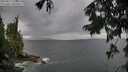 ./images/koeye/fitz-hugh/20250817/fitz-hugh20250817_170509M.jpg