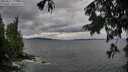 ./images/koeye/fitz-hugh/20250817/fitz-hugh20250817_174511M.jpg